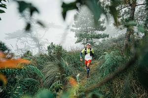 BIB: 
                            <button type="button" onclick="openModal(25258252)" class="btn btn-primary btn-sm float-right btn-popup" data-toggle="modal" data-target=".modal-high-quality">
                        <i class="fas fa-shopping-cart"></i> Add to Cart
                    </button>
                                            <button type="button" onclick="isThisMe(25258252, true)" class="btn btn-success btn-sm float-right btn-popup btn-isme hidden" data-toggle="tooltip" data-placement="bottom" title="นี่คือรูปของคุณใช่ไหม คลิกที่นี่เพื่อเอาเข้าอัลบั้ม">
                        <i class="fas fa-plus"></i> Add to album
                    </button>
                    <button type="button" onclick="isThisMe(25258252, false)" class="btn btn-warning btn-sm float-right btn-popup btn-isnotme hidden">
                        <i class="fas fa-ban"></i> Remove from album
                    </button>